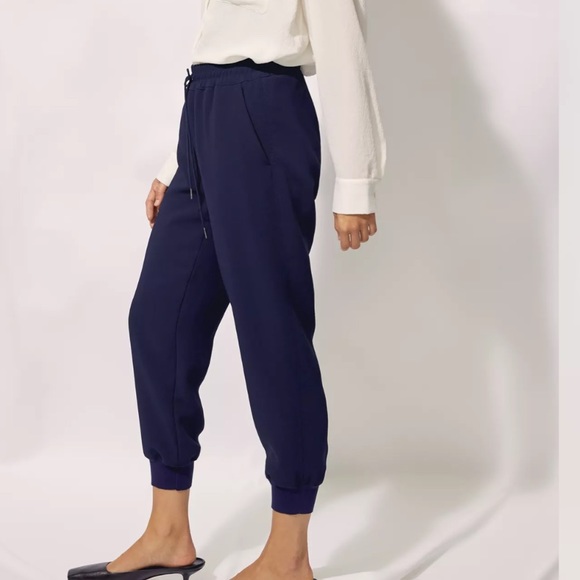 Wilfred aritzia Buffon pants joggers XS black new with tags - Picture 3 of 10